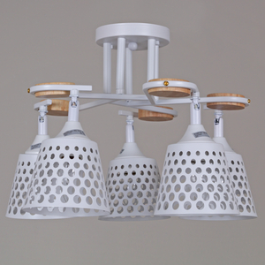 04218-0.3-05 WT светильник потолочный