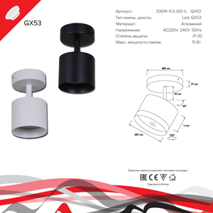 53019-9.5-001IL SPOT LIGHT GX53 WT светильник точ.