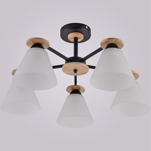 01625-0.3-05 BK+WOOD светильник потолочный