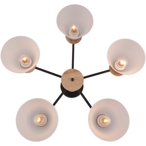 01625-0.3-05 BK+WOOD светильник потолочный