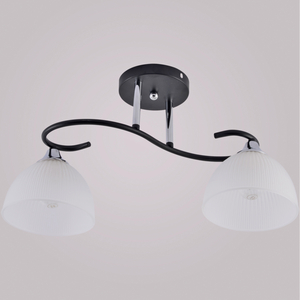 01635-0.3-02 BK+CR светильник потолочный