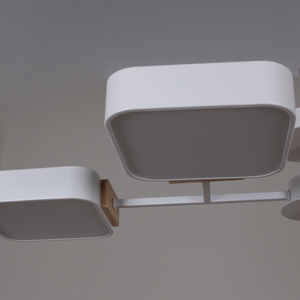 03363-0.3-08 WH+WOOD светильник потолочный
