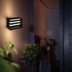 86864-9.2-001JH LED18W BK светильник настенный