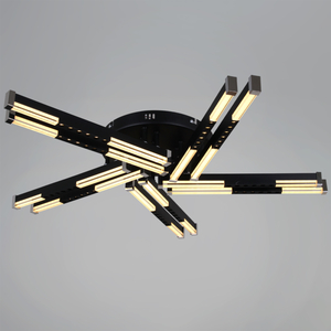 24090-0.3-10 BK светильник потолочный