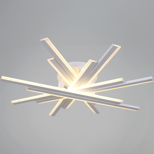 16090-0.3-08 BK/WH светильник потолочный