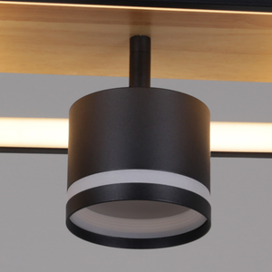 19560-0.3-2+2 BK+WOOD светильник потолочный