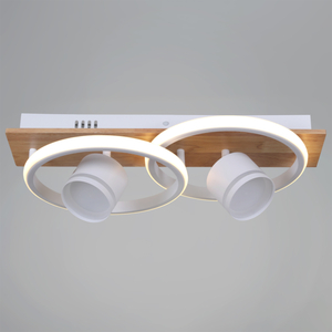 29560-0.3-2+2 WH+WOOD светильник потолочный