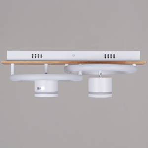 29560-0.3-2+2 WH+WOOD светильник потолочный