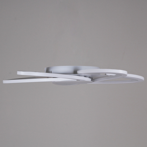 06529-0.3-05 WH светильник потолочный