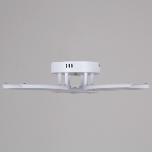 08429-0.3-03 WH светильник потолочный