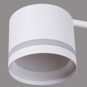 77730-0.3-06 GX53 WT светильник потолочный