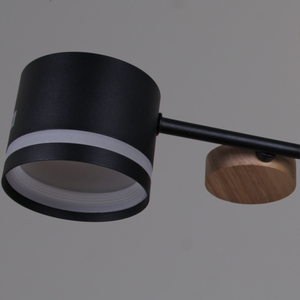 68730-0.3-08 GX53 BK+WOOD светильник потолочный