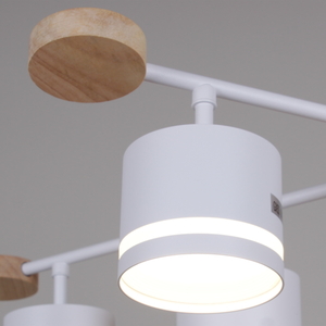 78730-0.3-06 GX53 WH+WOOD светильник потолочный