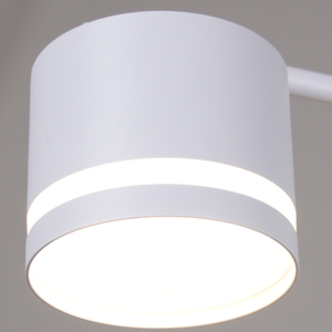 89730-0.3-09 GX53 WT светильник потолочный