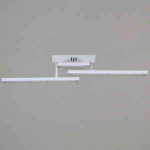 89560-0.3-03A WH светильник потолочный