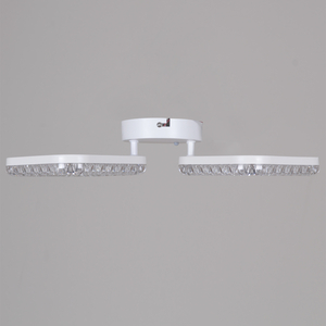 09848-0.3-02A WH светильник потолочный