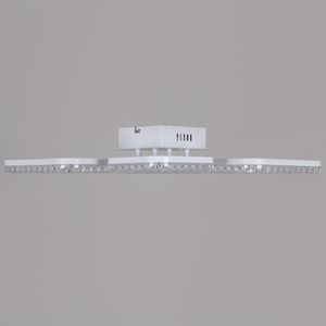 19848-0.3-04D WH светильник потолочный