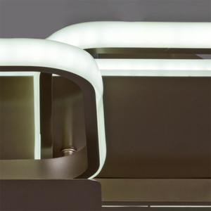 20465-0.3-2+1+1 "L" светильник потолочный