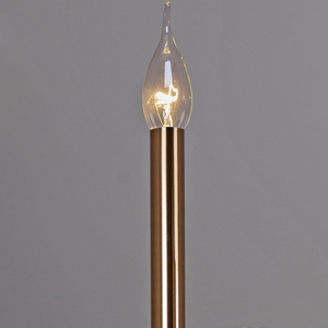 IL2265-16POR-79 BK GD светильник потолочный