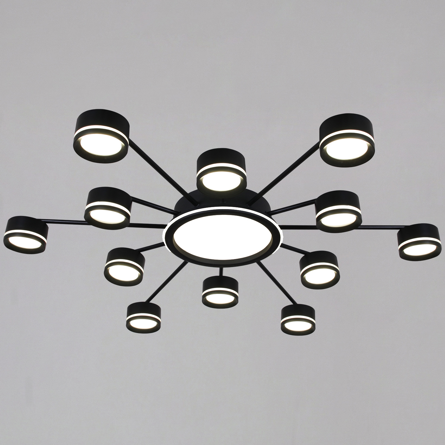 20590-0.3-6+6+1 Black светильник потолочный