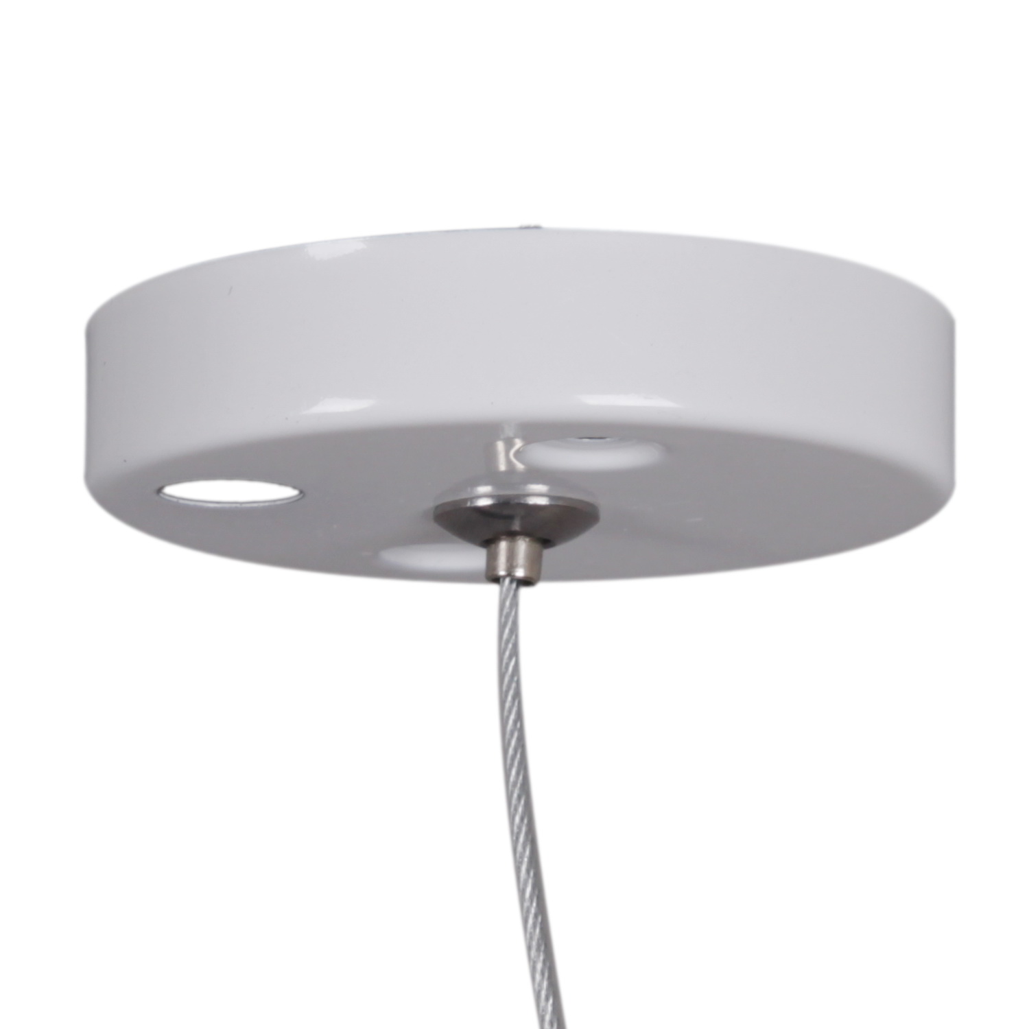 RL 06035/06036 suspension cable 2M WT