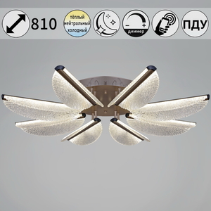 00490-0.3-08L champagne silver светильник потолочный