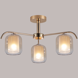 98470-0.3-03 светильник потолочный