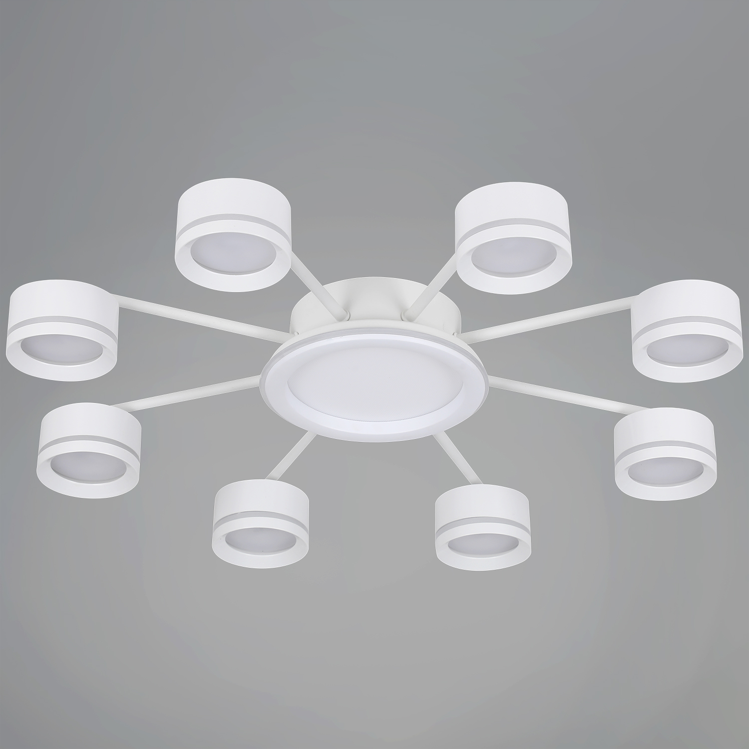 20590-0.3-8+1 White светильник потолочный