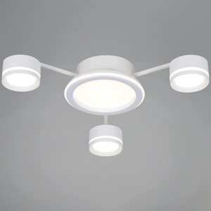 20590-0.3-3+1 White светильник потолочный