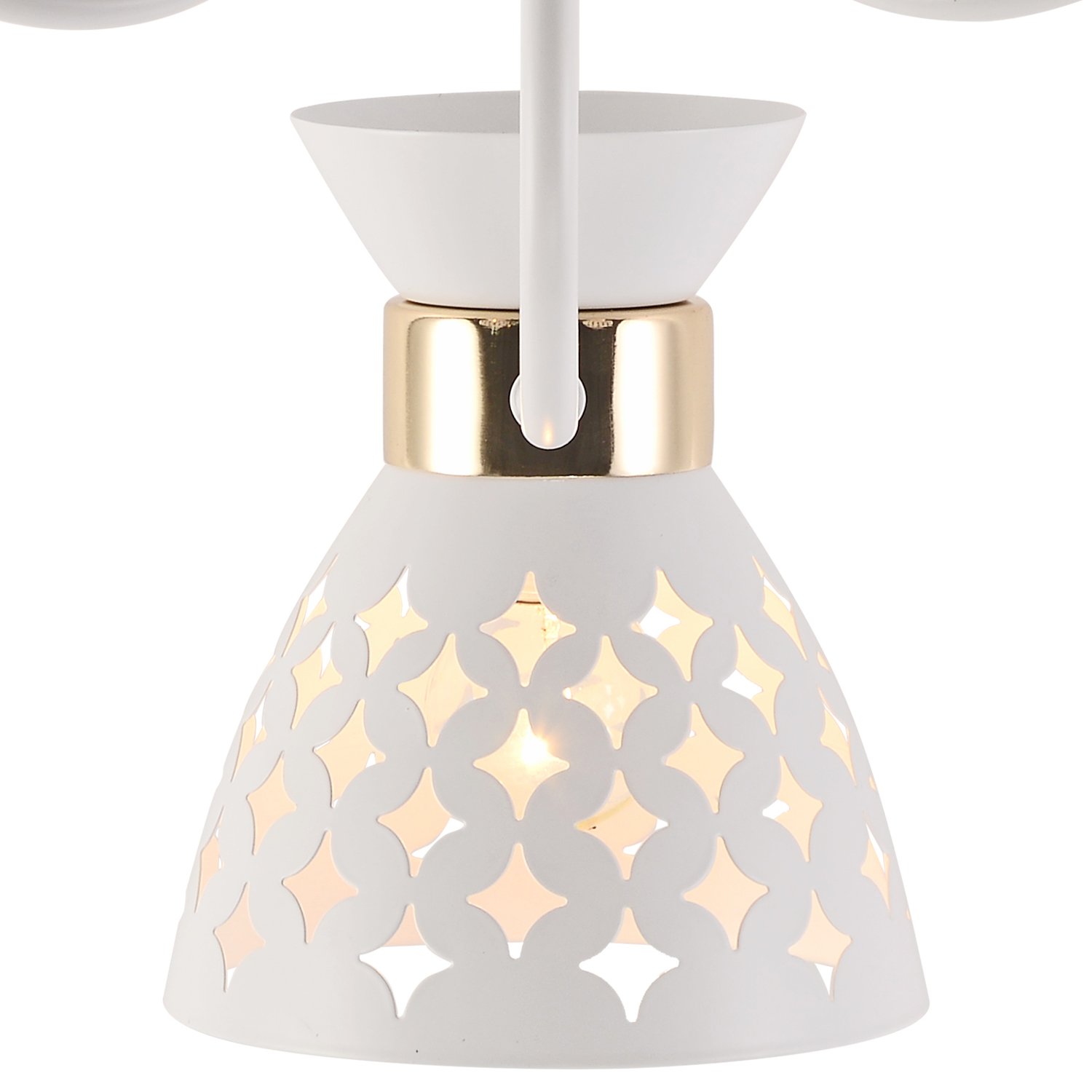 01579-3.3-05 WH+FGD светильник потолочный