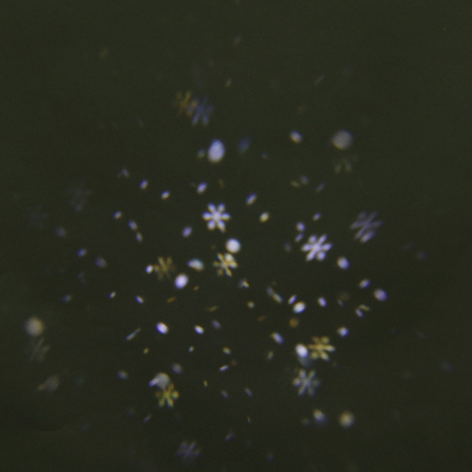 00328-0.2-01 проектор светодиодный