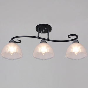 66360-0.3-03 BK+CR светильник потолочный