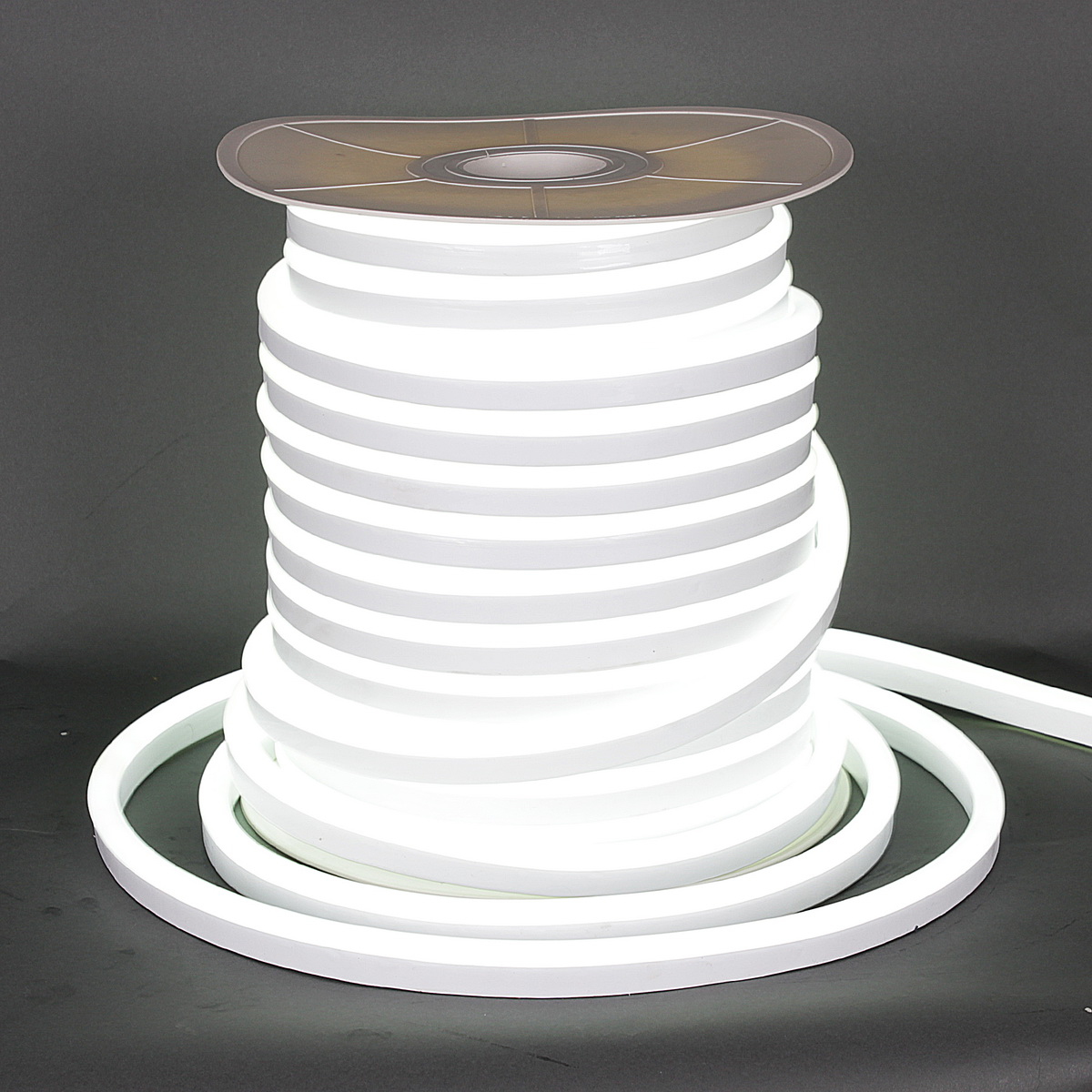 A-519 W  17х25мм, 120LED/1м, 220V 50м гибкий свет