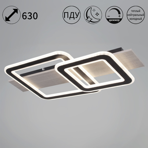 00829-0.3-02 WD+BK светильник потолочный