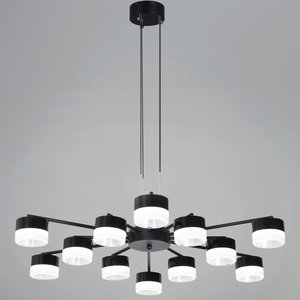 19490-0.4-6+6 Black светильник потолочный