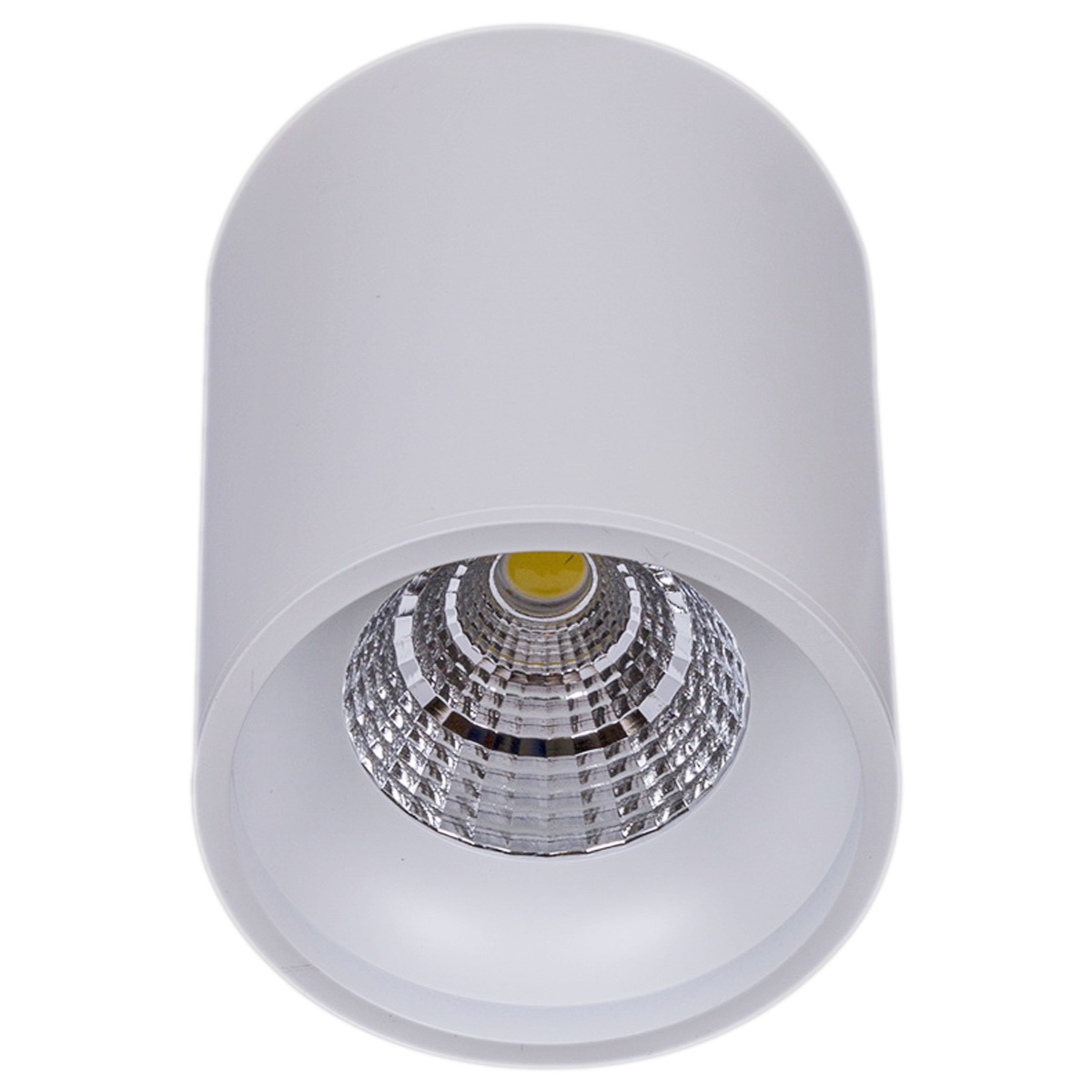 81117-9.5-001RT LED10W WT светильник точ. накладной