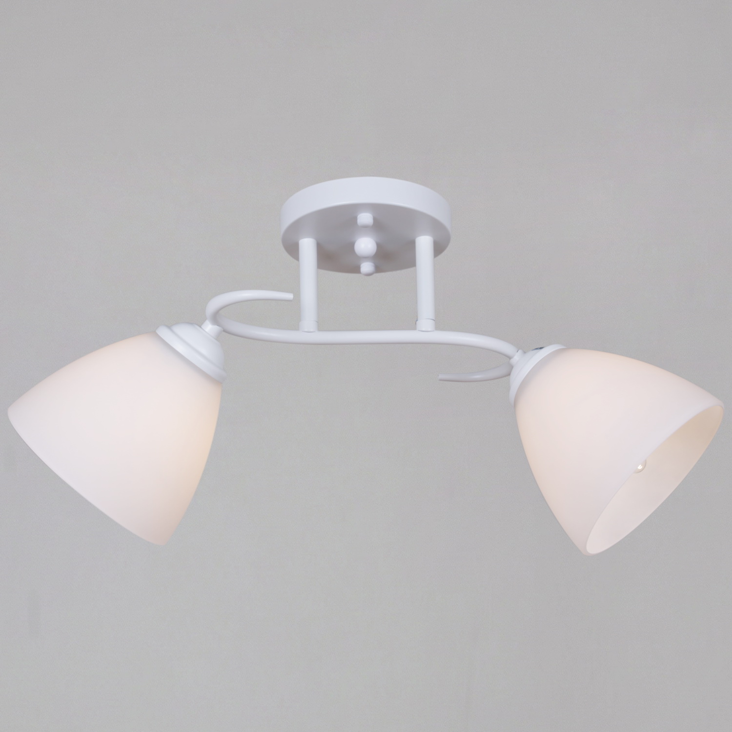 44560-0.3-02 WH светильник потолочный