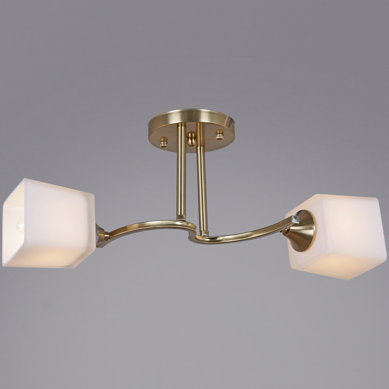 06397-0.3-02 "L" светильник потолочный