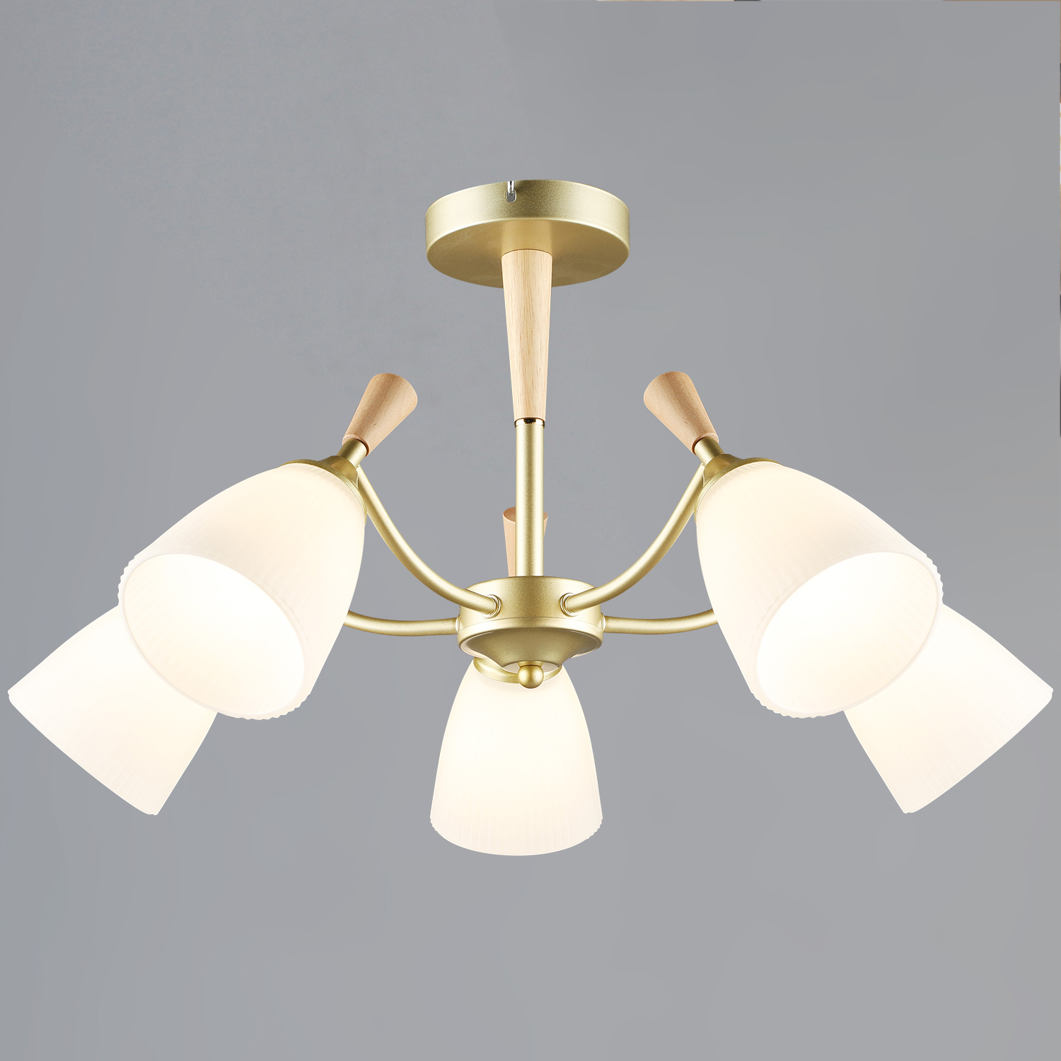 38960-0.3-05 "L" светильник потолочный