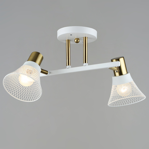 06245-0.3-02 WT+COP светильник потолочный