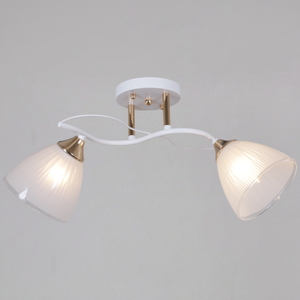 64460-0.3-02 WH+FG светильник потолочный