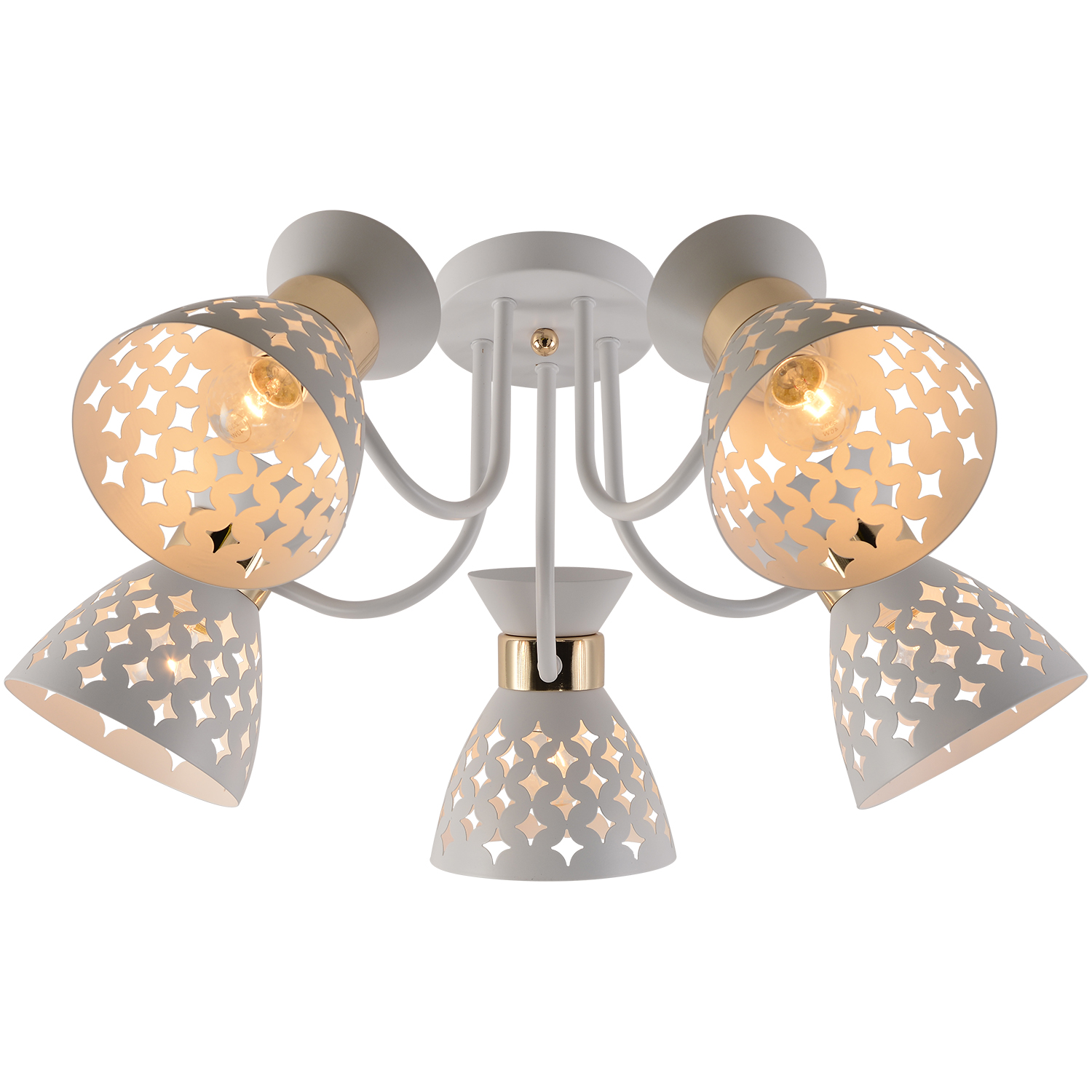 01579-3.3-05 WH+FGD светильник потолочный