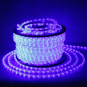 13-2W-100M-220V-LED-U BL дюралайт круглый