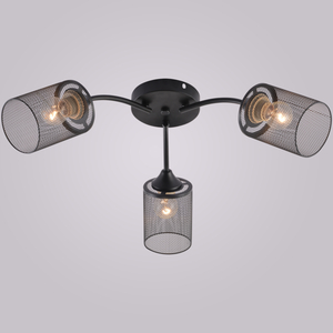 01624-0.3-03 BK светильник потолочный