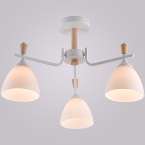 01622-0.3-03 WH+WOOD светильник потолочный