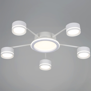 20590-0.3-5+1 White светильник потолочный