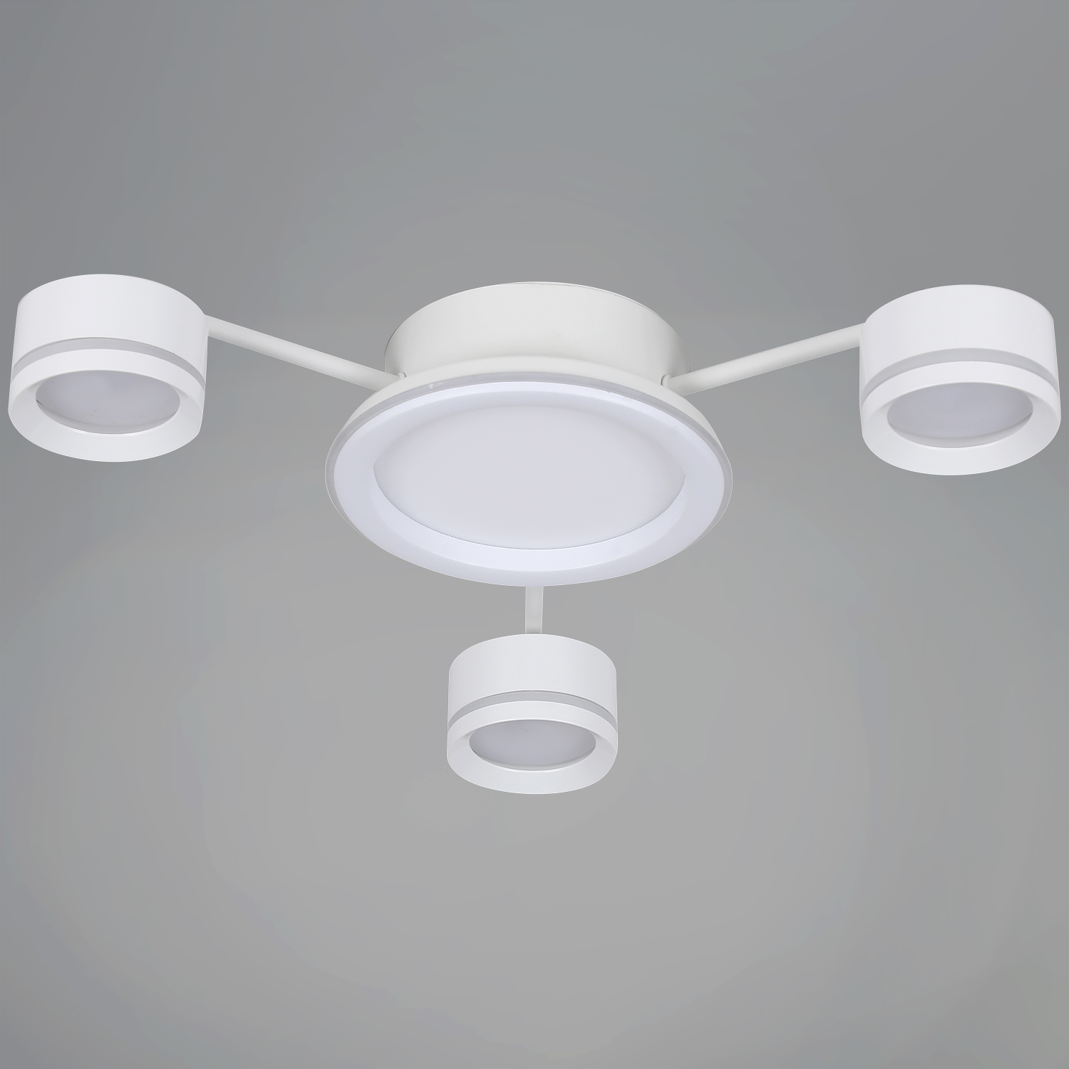 20590-0.3-3+1 White светильник потолочный