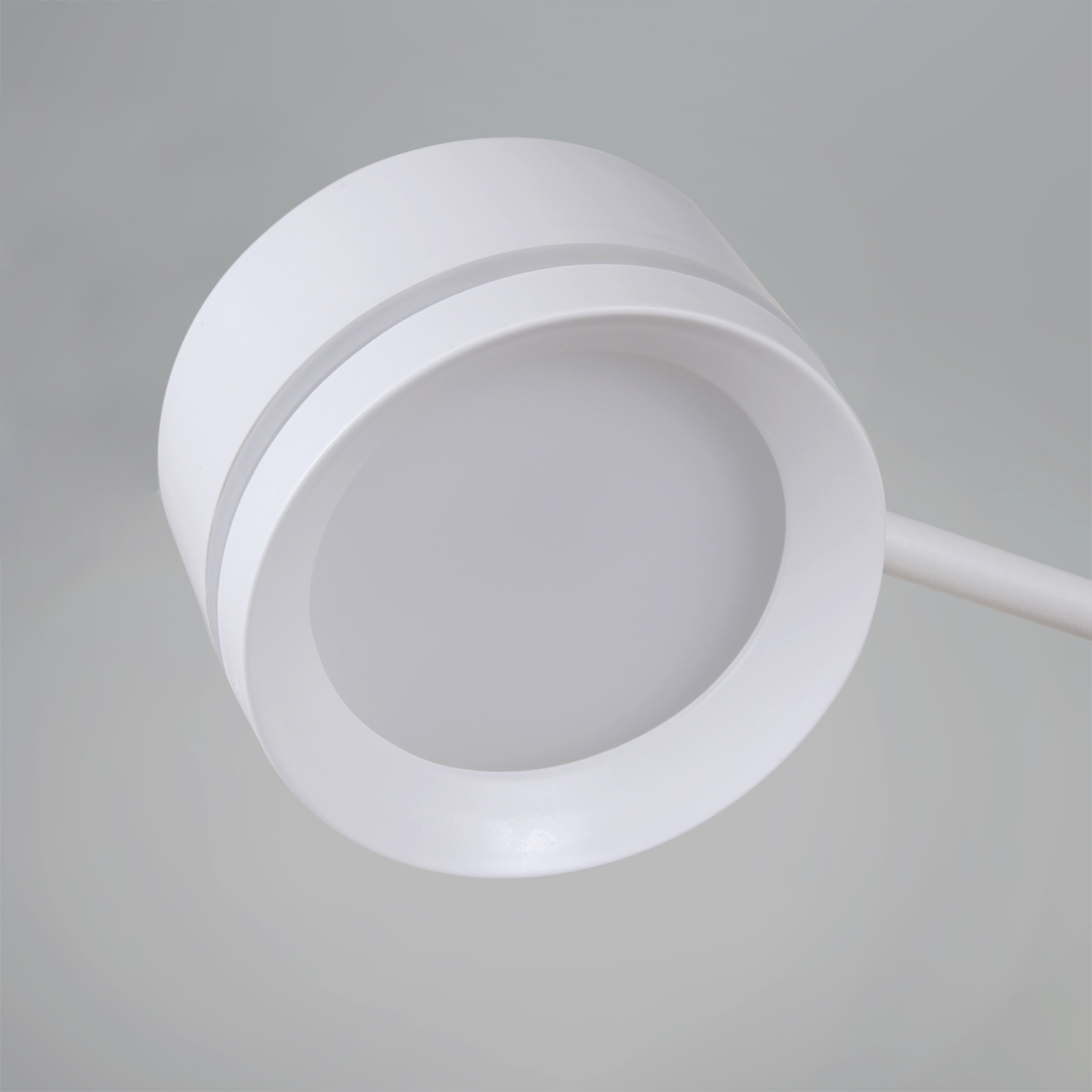 20590-0.3-8+1 "L" White светильник потолочный