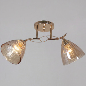 02560-0.3-02 FG светильник потолочный