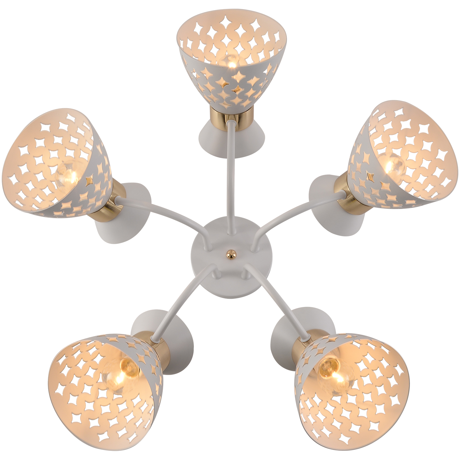 01579-3.3-05 WH+FGD светильник потолочный